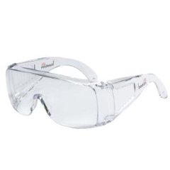Bastion Visitor Safety Glasses: Clear - Each