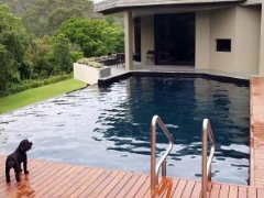 Cotec Epotec NT Epoxy Hi Temp: Black - 5kg Kit