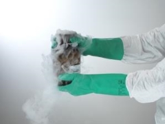 Ansell AlphaTec® Solvex® 37-175 Glove: Size 10 (XL) - Pair