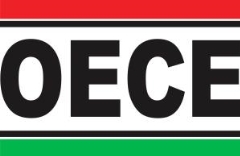 OECE 210-0037/10 PU Clear Top Coat: 10% Gloss - 10L